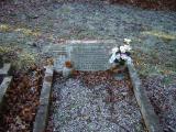 image of grave number 35780